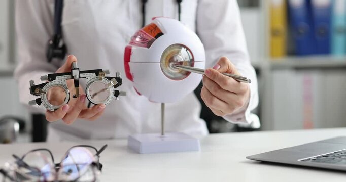 Medical professional performs eye examination using eyeball anatomical model and frame glasses. Detailed explanation of eye treatment for patient
