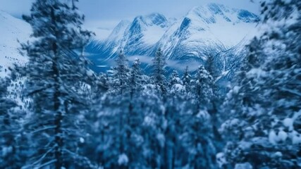 Stunning aerial drone footage showcasing Norway's mountains. A forest blanketed in snow. The blue hour during winter - Powered by Adobe