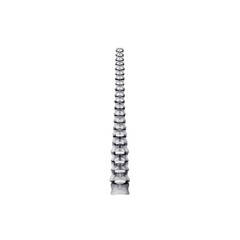 Detailed Human Spine Anatomy Model, Isolated View for Educational Purposes in Medical and Health Science Fields on transparent background