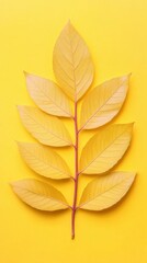 Yellow Autumn Leaves on Yellow Background - Minimalist Nature Photography
