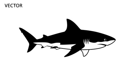 A Silhouetted Illustration of a Great White Shark Swimming in the Ocean Depths Illustrating the Majesty and Power of Marine Predators in Their Natural Habitat