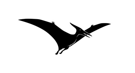 A Majestic Pterodactyl Silhouette in Flight Against a Pristine White Background Showcasing Its Expansive Wingspan and Distinctive Crest Perfect for Educational Purposes and Paleontology Enthusiasts © Retsher