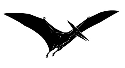 A Majestic Silhouette of a Pterodactyl in Mid Flight Displaying its Expansive Wingspan Against a Stark White Background Perfect for Educational Materials or Natural History Exhibits © Retsher