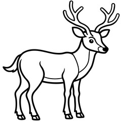 Reindeer Outline