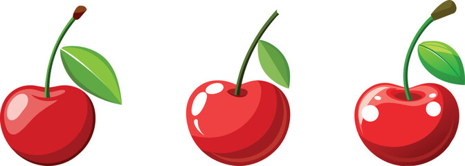 Cherry fruit vector illustration