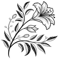 black and white flowers