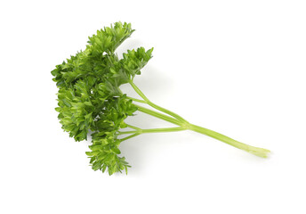 Sprig of fresh parsley isolated on white