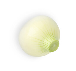 One whole ripe onion isolated on white, top view
