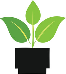A simple stylized illustration of a healthy green plant with three broad leaves emerging from a black pot against a white background