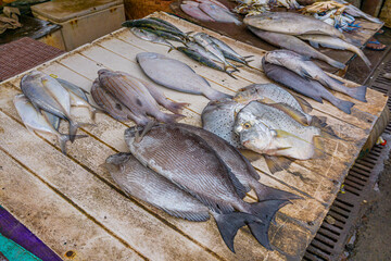 Fresh varieties of sea food meat like fishes, crabs, shrimp, prawns, squid, cuttlefish, octopus, sharks, dry fish, etc,. Selling at Chennai Kasimedu - the largest fish market place in south india.	