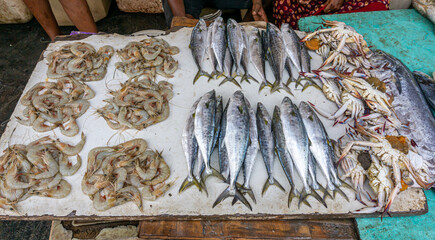Fresh varieties of sea food meat like fishes, crabs, shrimp, prawns, squid, cuttlefish, octopus,...