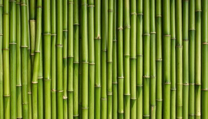 Vertical Green Bamboo Wall Pattern