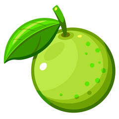 Lime slice
 white background