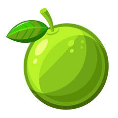 Lime slice
 white background