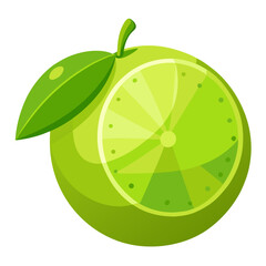 Lime slice
 white background