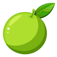 Lime slice
 white background