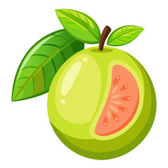 Guava  white background