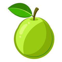 Guava  white background