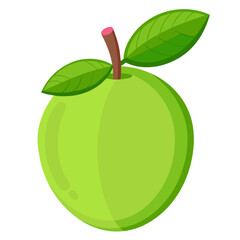 Guava  white background