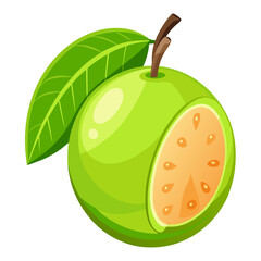 Guava  white background