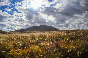 Fototapeta premium Mount Aso in Kumamoto, Kyushu,Japan