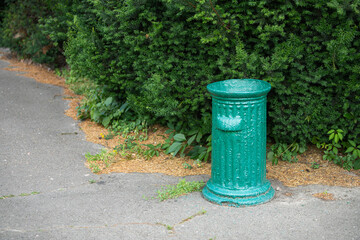 Fototapeta premium A weathered green trash can stands beside a quiet pathway in a park, surrounded by vibrant greenery and scattered mulch. The atmosphere is calm and inviting for visitors