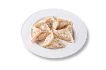 Golden brown fried dumplings arranged on a white ceramic plate. Studio food photography on isolated white background, showcasing traditional dumpling shape and texture. Ideal for menu or packaging