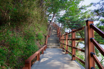 Obraz premium Boardwalk Stairs up Deokbong Mountain