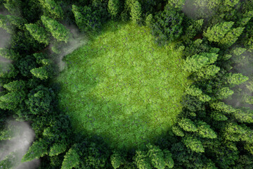 3D render of a lush forest with a circular green clearing viewed from above, surrounded by misty trees, conveying tranquility, mystery, and natural harmony.