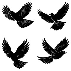 Four black bird silhouettes flying isolated on white background