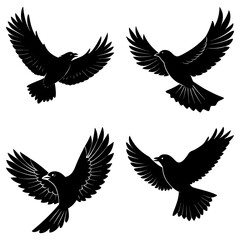 Four black bird silhouettes flying isolated on white background