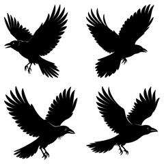 Fototapeta premium Four crows in flight isolated on white background in silhouette