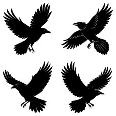 Four raven silhouettes in flight isolated on white background
