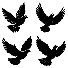 Obraz premium Four dove silhouettes in flight isolated on white background