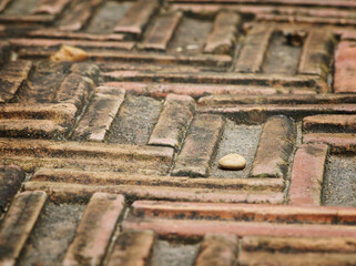 Close-up of zigzag brick pavement with weathered texture and natural details