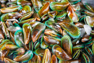 Fresh green mussels with shiny shells and ice cubes on wet seafood market table