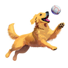Golden retriever dog jumping happily in the air catching a ball