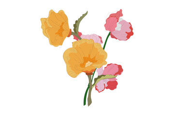 Beautiful romantic flower.  Flowers in modern simple. Cute round flower plant nature collection. Vector illustrator.