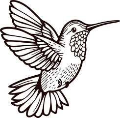 Obraz premium detailed hand drawn illustration of a hummingbird in flight vintage black and white ink sketch isolated on white