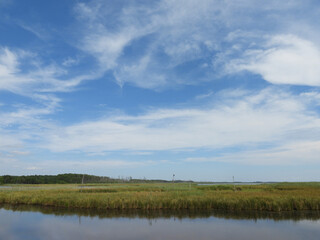 The natural beauty of the wetlands within the Blackwater National Wildlife Refuge, Dorchester County, Cambridge, Maryland.