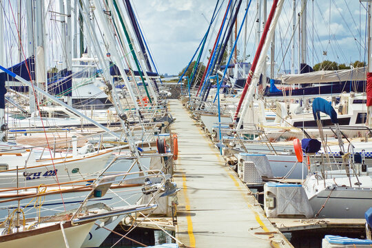 A fleet of boats moored in a row