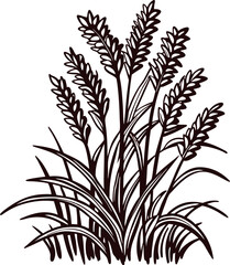 Hand drawn sketch of wheat plant with detailed ears and leaves isolated on white background