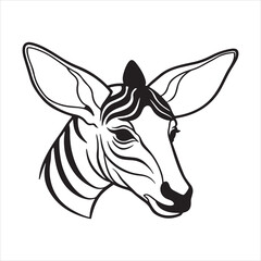 Okapi Wildlife – Elusive Rainforest Mammal and Living Fossil of the Congo © tanvir275