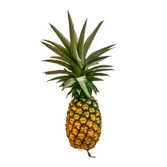 Fototapeta premium ripe pineapple isolated on white background