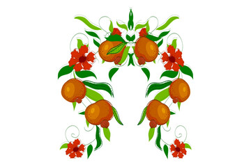 Anar fruit vector design. Fresh pomegranate.
