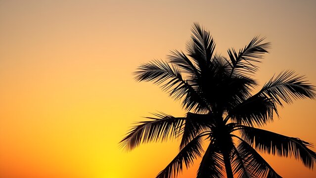 Minimalistic silhouette of a tropical palm tree against a sunset sky, bathed in warm golden hour light.