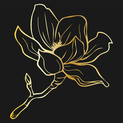 A finely detailed gold line drawing of a magnolia flower on black background. Vintage botanical design perfect for floral design, invitations and nature-themed decor