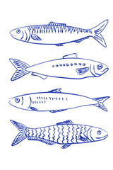 Collection of hand drawn sardine fish illustration in blue. Stylized set perfect for seafood packaging, retro labels, restaurant menus and nautical-themed designs