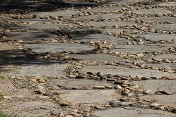 A rocky road with a lot of rocks scattered across it