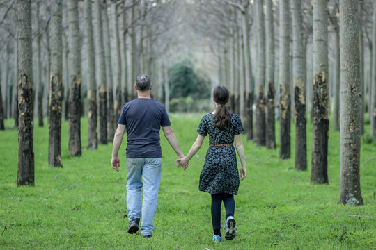 Father and daughter holding hands and walking through aisles of trees